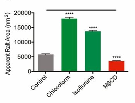 Additional figure, Pavel et al., PNAS 2020