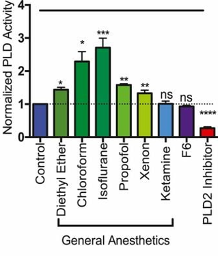 Additional figure, Pavel et al., PNAS 2020