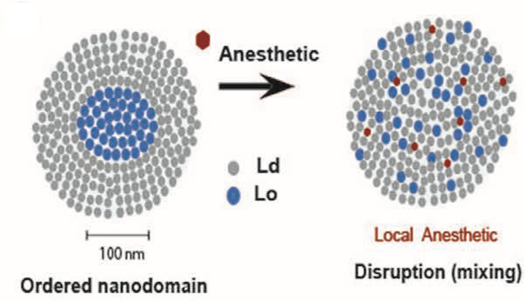 Additional figure, Pavel et al., Anesthesia & Analgesia 2019