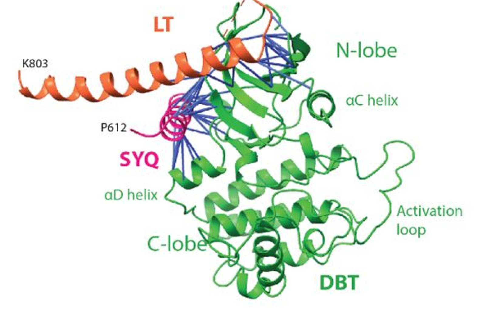 Figure from Petersen et al., bioRxiv 2025