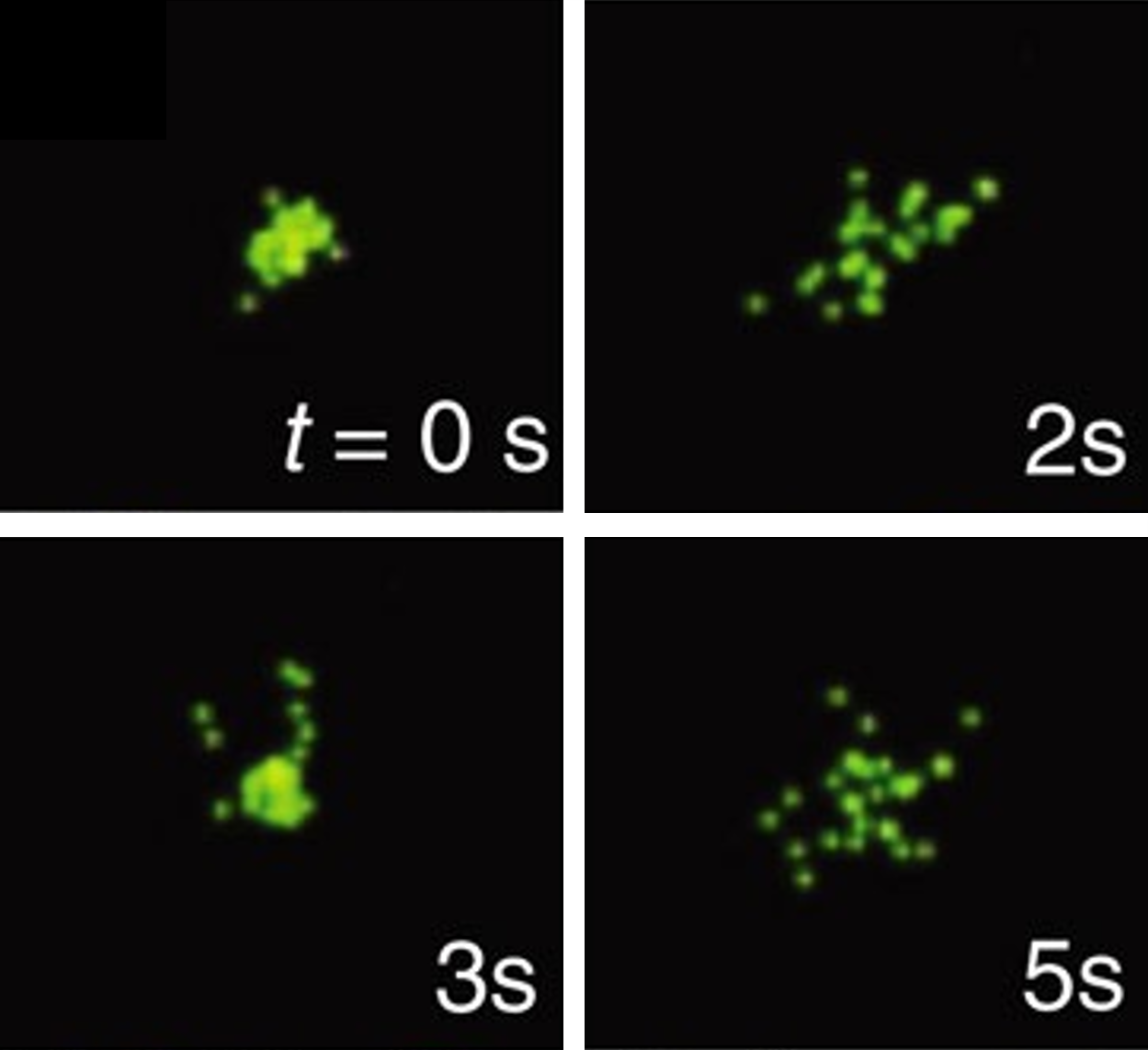 Additional figure, Petersen et al., Nature Communications 2016